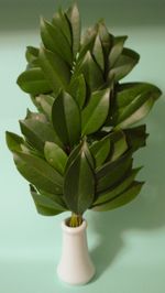 사카키 가지는 신토 의식에 사용된다