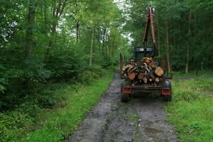 온대 낙엽수림에서 목재를 운송하는 벌목 트럭과 트레일러