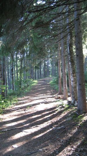 르블랑의 고향인 멤람쿠크(Memramcook, New Brunswick)의 르블랑 공원