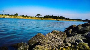 브라마푸트라 강