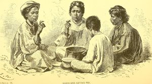 하와이인들이 포이를 먹고 있다(1889년)