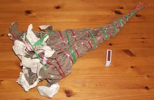 전통적인 피지 야고나 뿌리 묶음