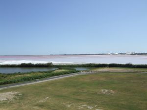 에그모르트 염전