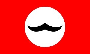 전후 국기의 변형