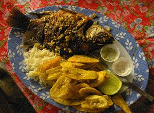 요호아 호에서 잡은 튀긴 생선