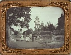 1866년 미주리주 세인트루이스 슈토 애비뉴에 있는 Ailanthus altissima (왼쪽과 맨 오른쪽)