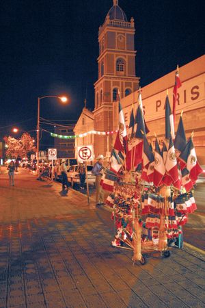 시우다드 빅토리아의 후아레스 광장에서 9월에 깃발 판매