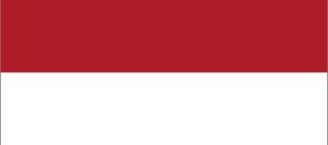 야마토 깃발, 네덜란드 국기에서 파란색 부분을 찢어 만든 깃발