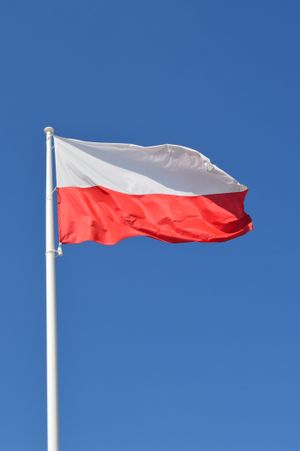 국장이 없는 국기