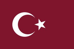 튀르키예 국기(공식 색상)