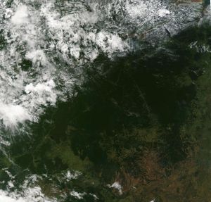 아마존 열대우림