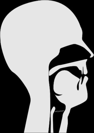 u}} 발음을 하는 성도의 시상 단면. 이 그림에서 물결 모양의 성대는 유성음을 나타낸다.