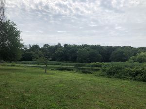 여름의 브라이언트 공원