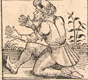 1493년 뉘른베르크 연대기에 삽화로 실린 열두 손가락을 가진 사람