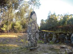 고고학 유적지에서 바라본 고대 루짐 멘히르