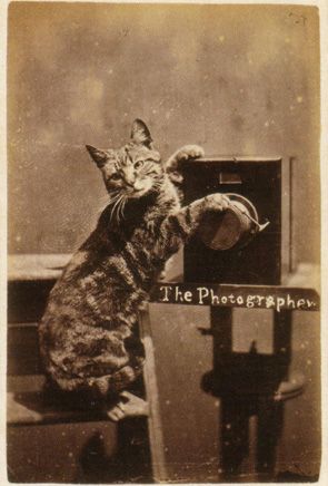 해리 포인터 (Harry Pointer, 1822-1889)의 작품