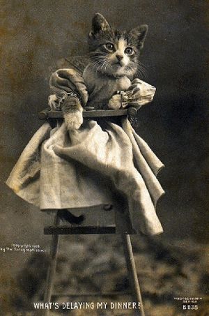 1905년 해리 휘티어 프리즈가 만든 고양이 엽서. 고양이 사진에 캡션을 단 작품으로 알려져 있으며, 롤캣의 시초라고도 한다.