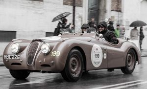 갠디와 야스민 르 봉 (2013 밀레 밀리아)