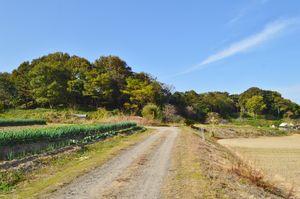 아미노 쵸시야마 고분