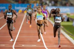 2010년 메모리얼 반 담메 여자 5000m