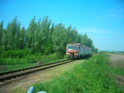 버여와 바타체크 사이의 게멘츠 헝가리 인터레기오 열차