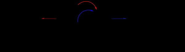 디옥시리보스의 푸라노스 및 피라노스 형태