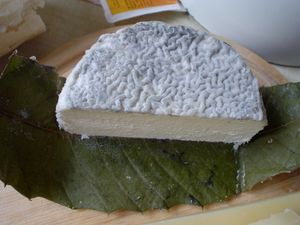 펠라르동은 염소젖으로 만든 치즈의 한 종류이다.