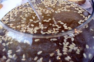 배화채 (배 화채)