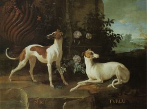 장-밥티스트 우드리의 Misse and Turlu, Two small Greyhounds Belonging to Louis XV