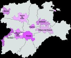 카스티야이레온의 원산지 명칭 통제 와인