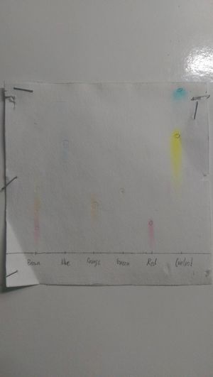 크로마토그래피에 사용되는 여과지