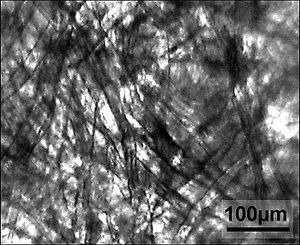 종이 필터의 미세 사진