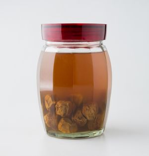 유리 주전자에 담긴 매실주