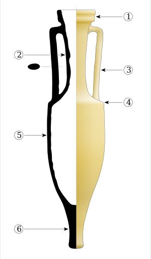 드레셀 1B형 암포라도해 : 1: 입구, 2: 목, 3: 손잡이, 4: 어깨, 5: 배 또는 몸통, 6: 발