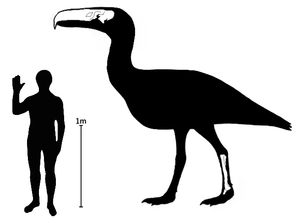 사람과 크기 비교