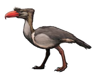 켈렌켄 생체 복원도