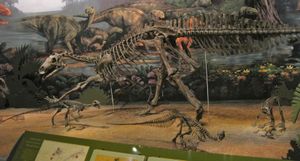 성체와 어린 테논토사우루스 개체의 골격