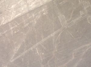 나스카 라인 사막에 그려진 군함조