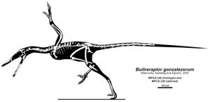 표본 MPCA 245와 MPCA 238의 골격 합성