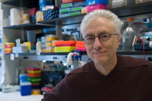 루돌프 라이블(사진)을 포함한 동문들은 호르몬 렙틴을 발견했다.