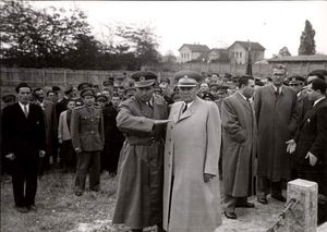 요시프 브로즈 티토 1951년 크랄레보