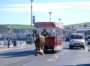 말 마차가 더글러스 산책로의 횡단보도를 지나가고 있다