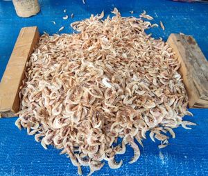 인도네시아 아체에서 판매되는 말린 새우