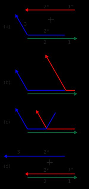 동적 DNA 나노기술의 사슬 치환 반응. (a) 녹색 사슬의 단일 가닥 부분(영역 1)이 토홀드이다. (b) 빨간 사슬이 결합하고, (c) 영역 2를 따라 분기점이 진행된다. (d) 파란 사슬이 빨간 사슬에 의해 치환되어 분리된다.