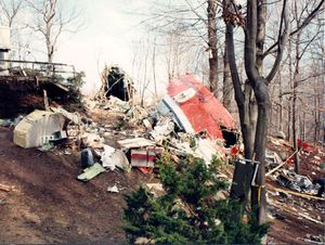 사고 현장의 조종실과 앞쪽 갤리 잔해, 배경의 동체 잔해