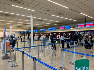 터미널 C의 체크인 카운터