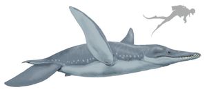 P. funkei 복원도