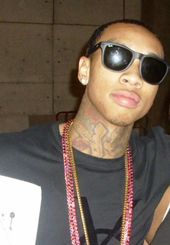 2008년의 타이가