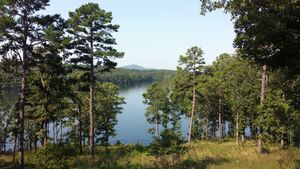 해밀턴 호, Garvan Woodland Gardens에서 바라본 모습