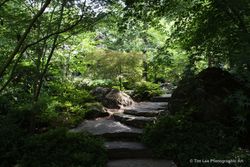 가번 우드랜드 식물원의 일본 정원